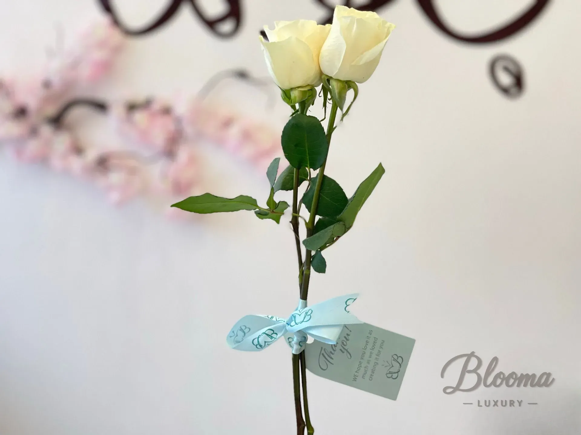 Blooma Special Mini Bouquet - White Roses