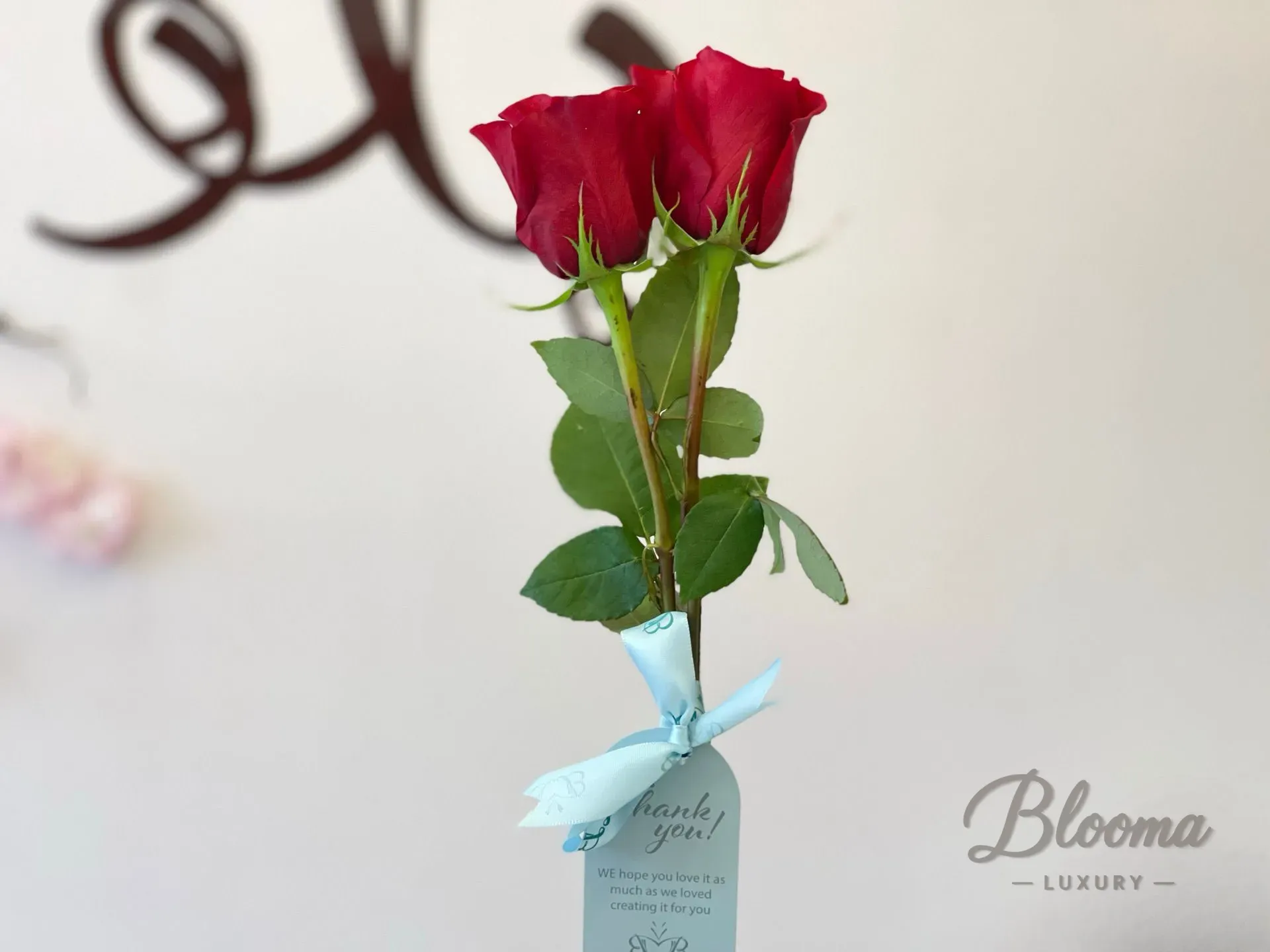 Blooma Special Mini Bouquet - Red Roses