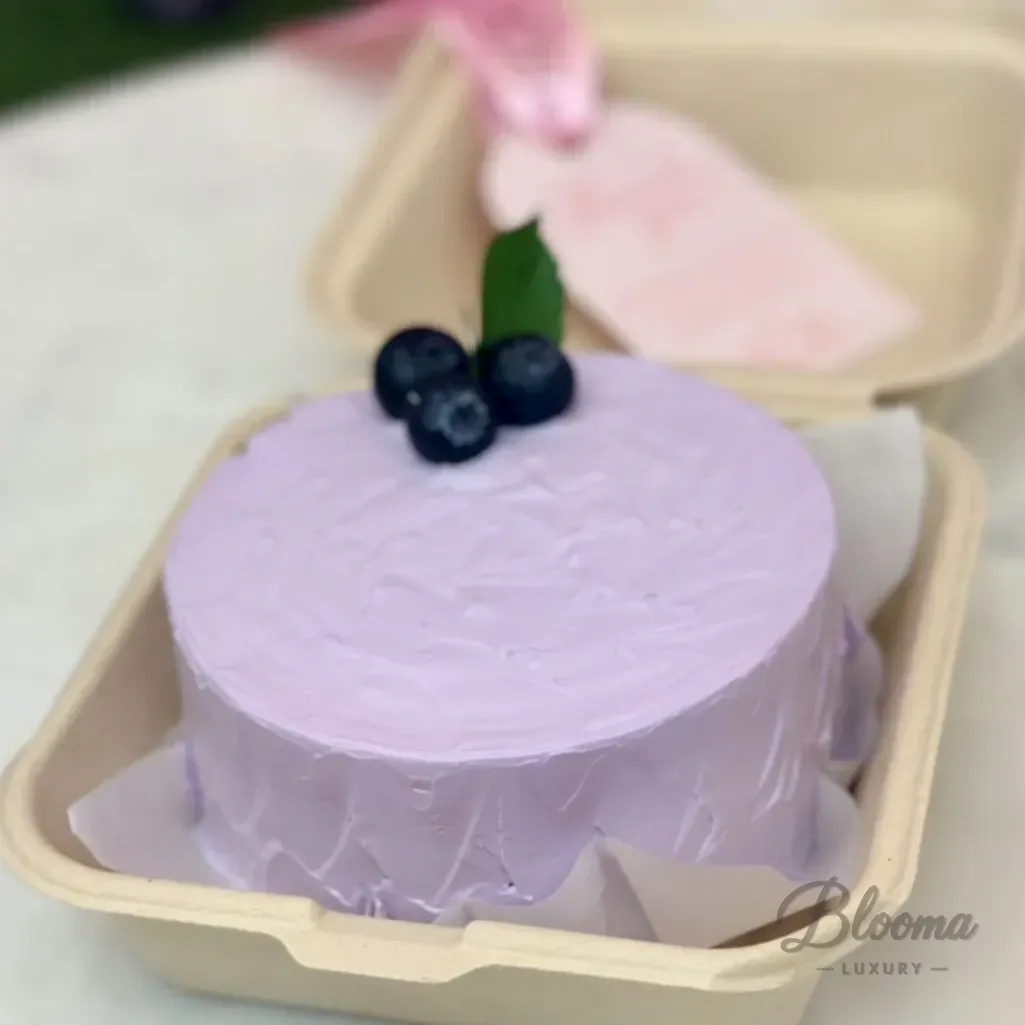 Blueberry Bento