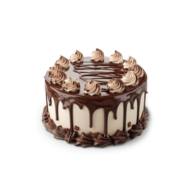 Vanilla & Chocolate Cake