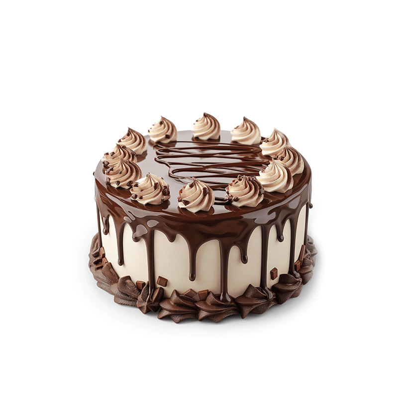 Vanilla & Chocolate Cake